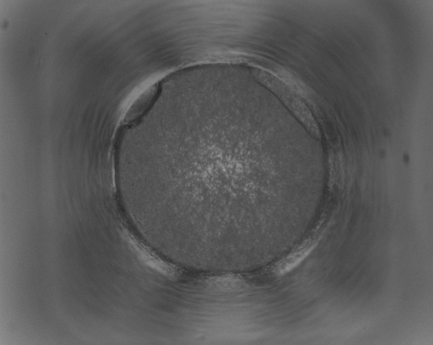 X0000074030838200608281418