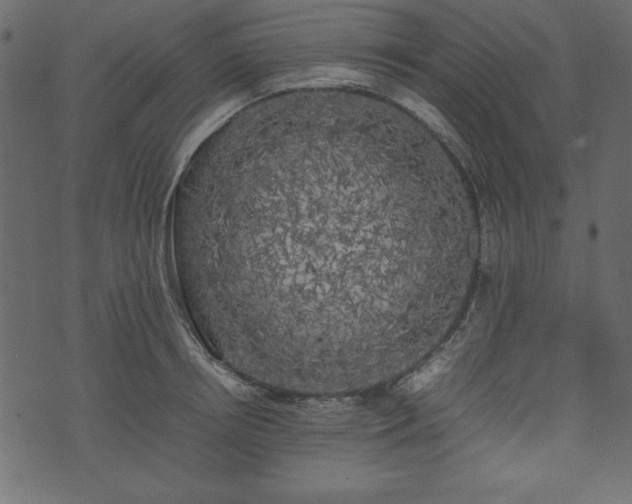 X0000074030850200608281418