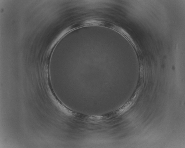 X0000074030859200608281418
