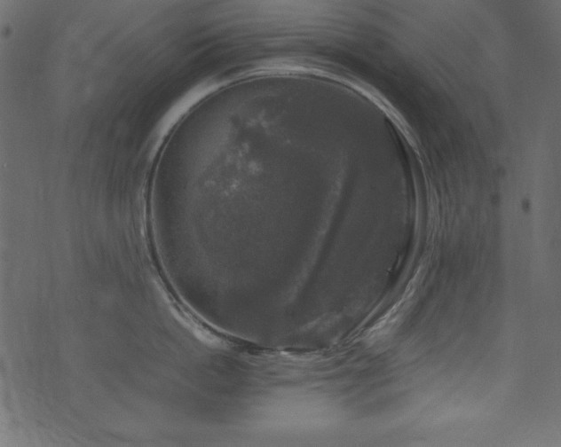 X0000074030862200608281418