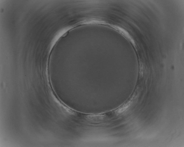 X0000074030863200608281418