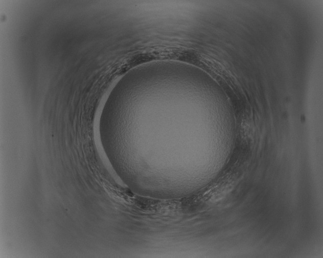 X0000074030865200608281417