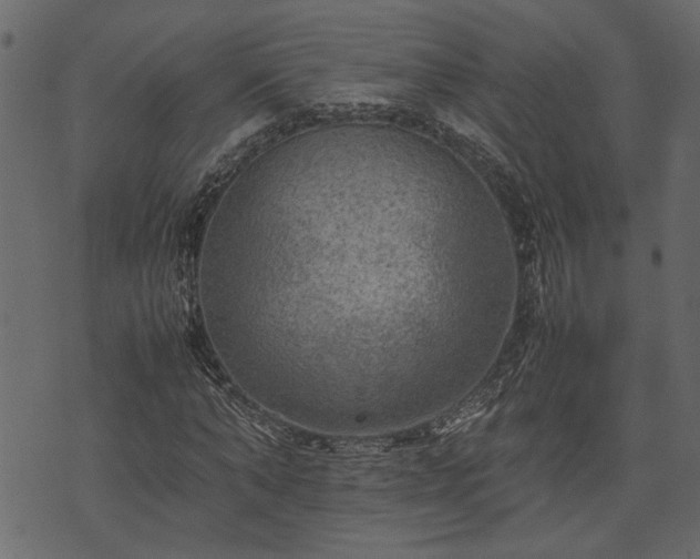 X0000074030870200608281417