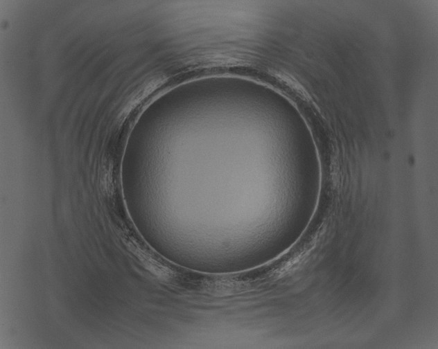 X0000074030873200608281417