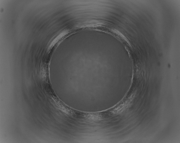 X0000074030874200608281417