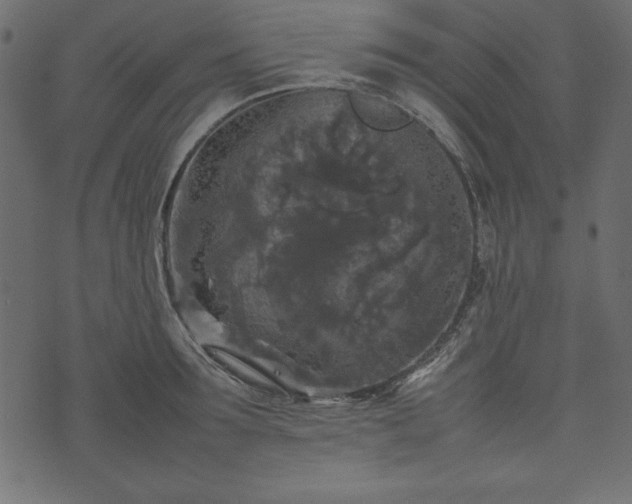 X0000074030899200608281417