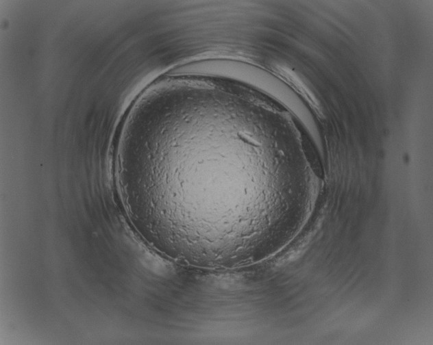 X0000074030900200608281417