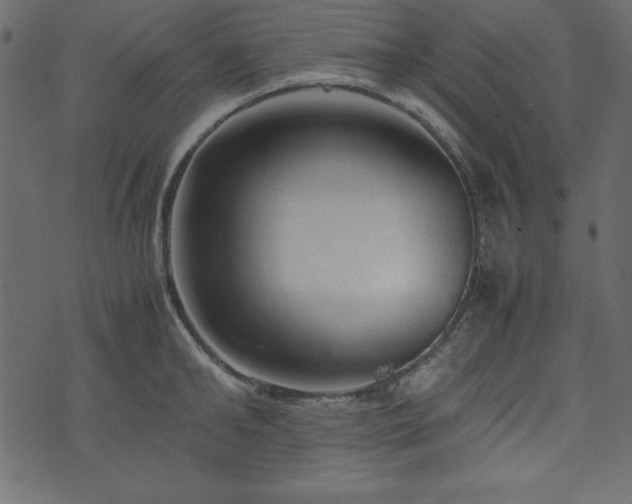 X0000074030902200608281417