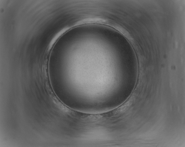 X0000074030912200608281416