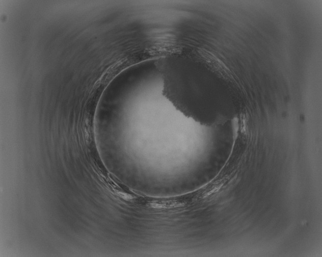 X0000074030915200608281416