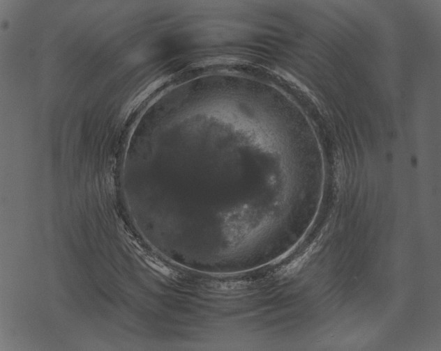 X0000074030921200608281416