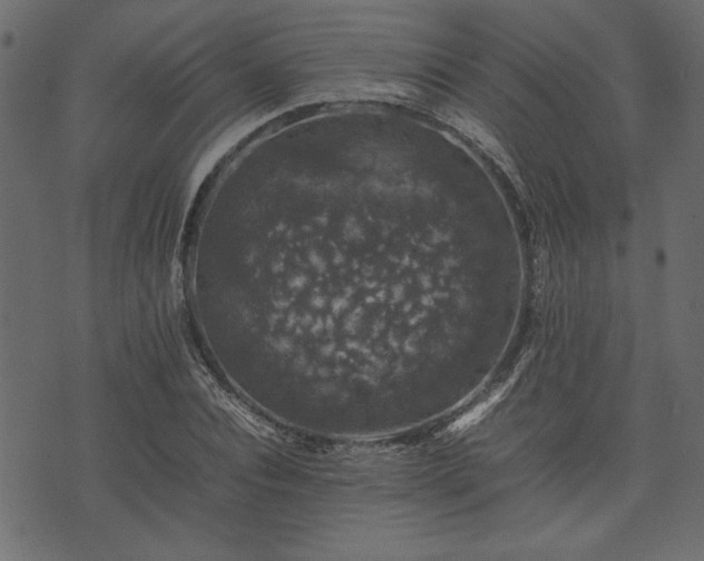 X0000074030928200608281416