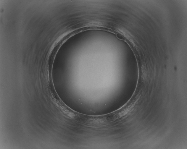 X0000074030931200608281416