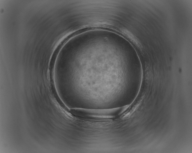 X0000074030932200608281416