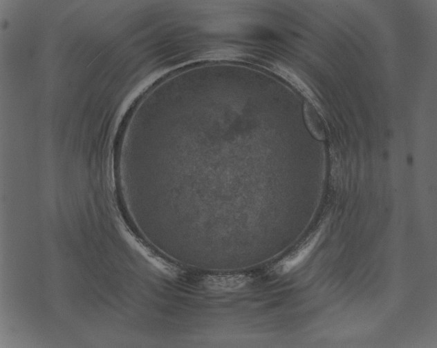 X0000074030939200608281416