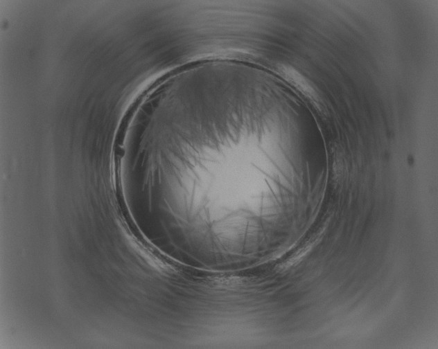 X0000074030940200608281416