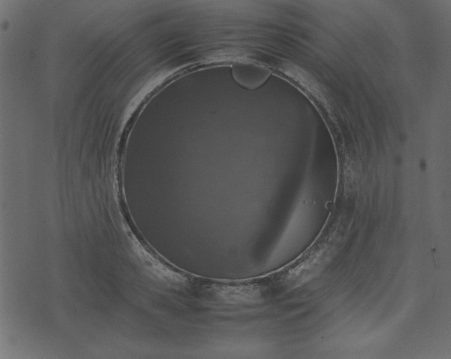 X0000074030941200608281416