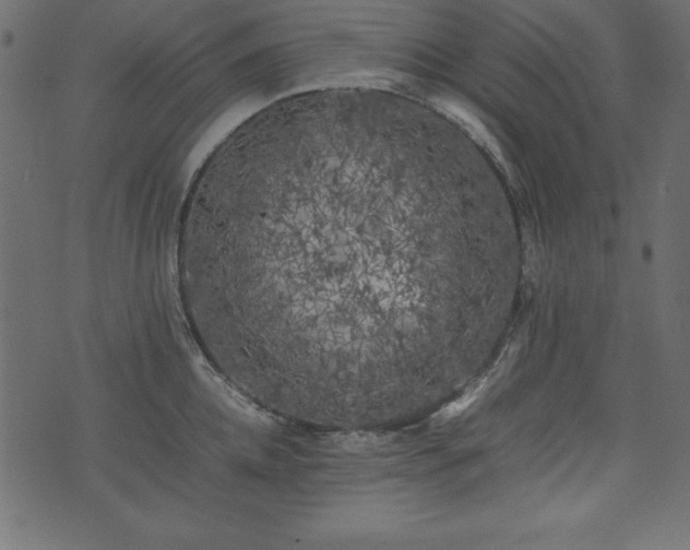 X0000074030952200608281416