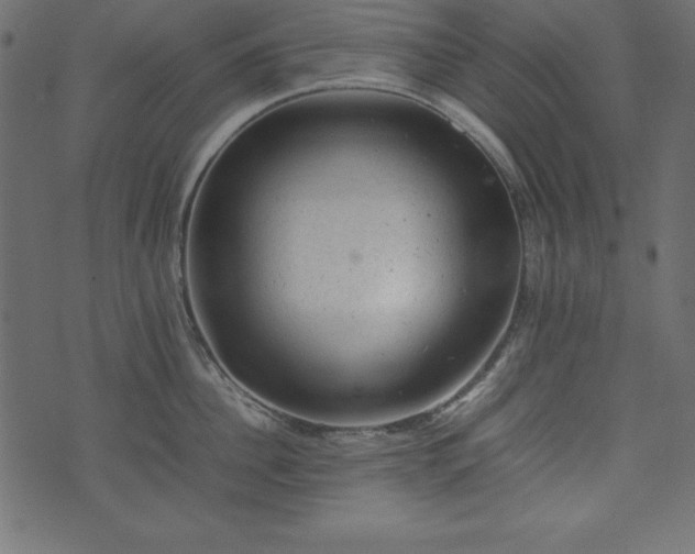 X0000074030956200608281416
