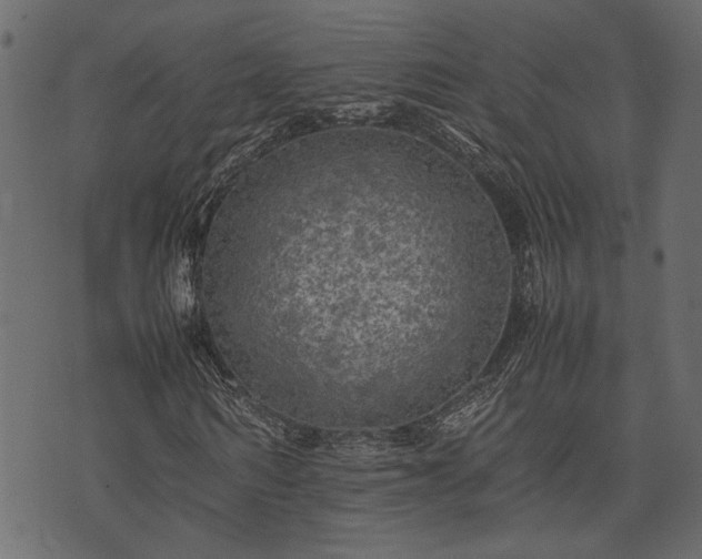 X0000074030962200608281416