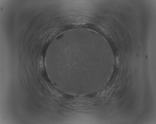 X0000074030963200608281416