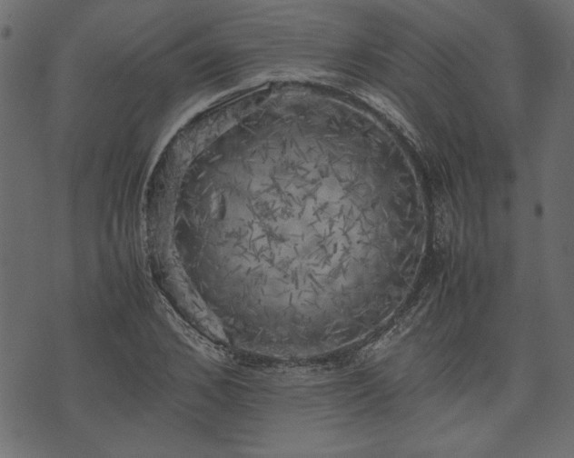 X0000074030976200608281415