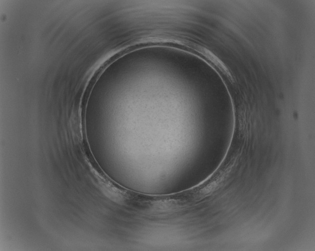 X0000074030988200608281415