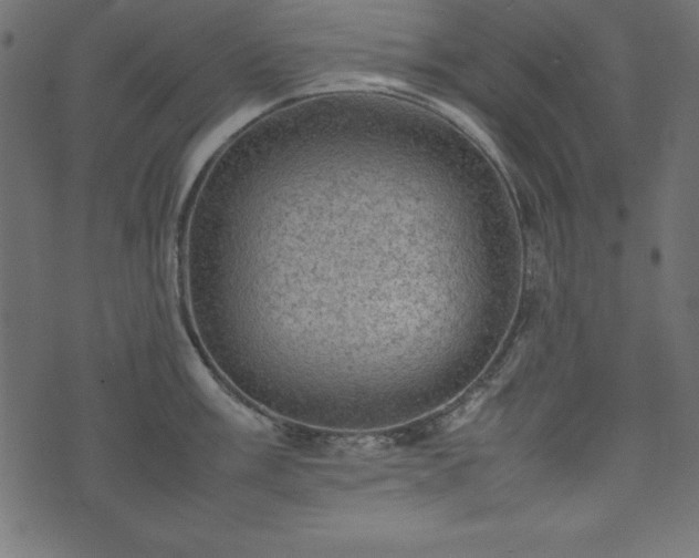 X0000074031003200608281415