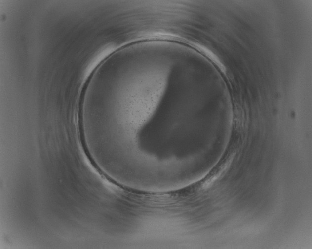 X0000074031007200608281415