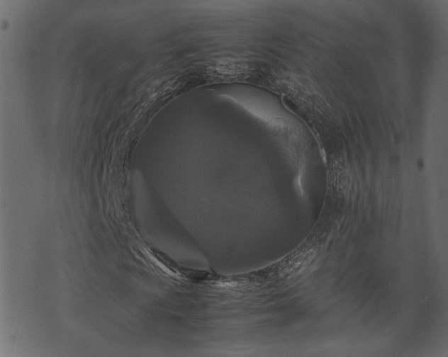 X0000074031009200608281414