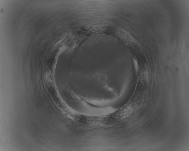 X0000074031010200608281414