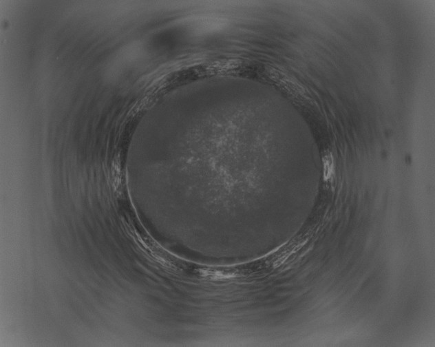 X0000074031011200608281414