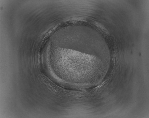 X0000074031014200608281414