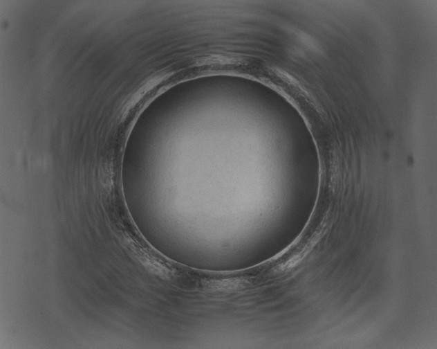 X0000074031017200608281414