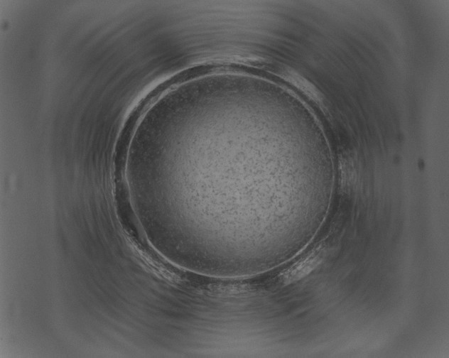 X0000074031020200608281414