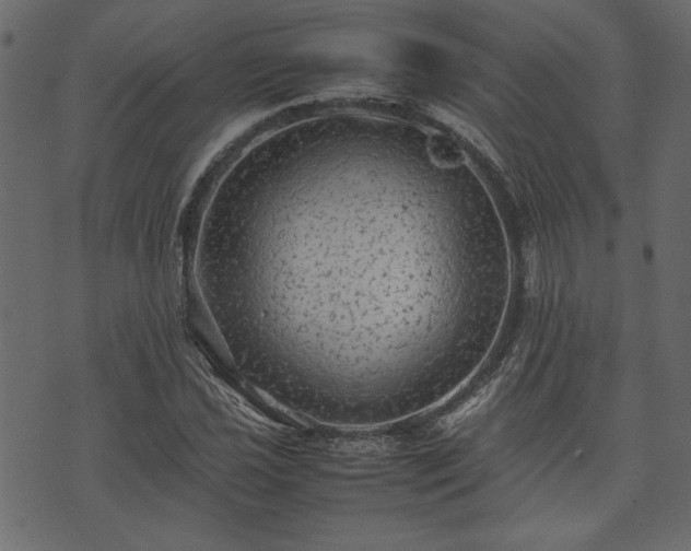 X0000074031021200608281414