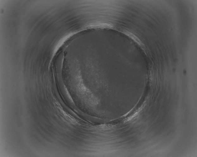 X0000074031022200608281414