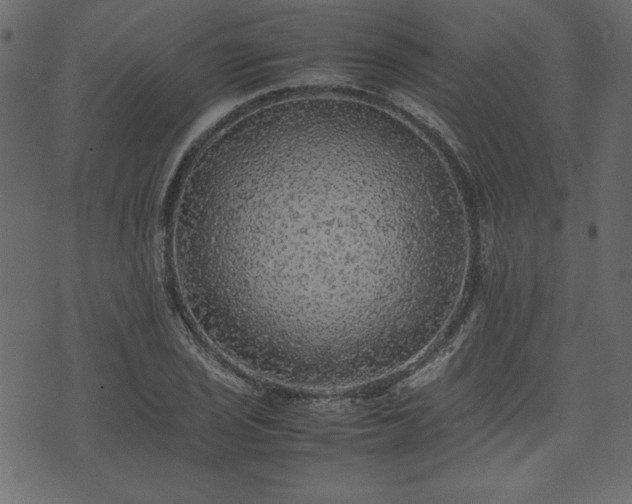 X0000074031029200608281414
