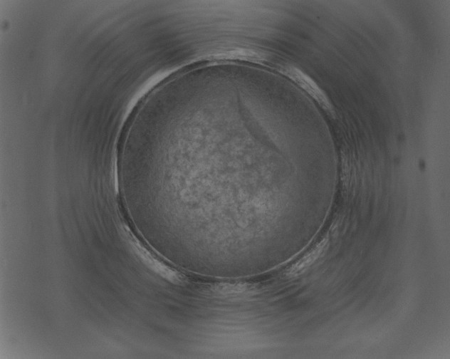 X0000074031036200608281415