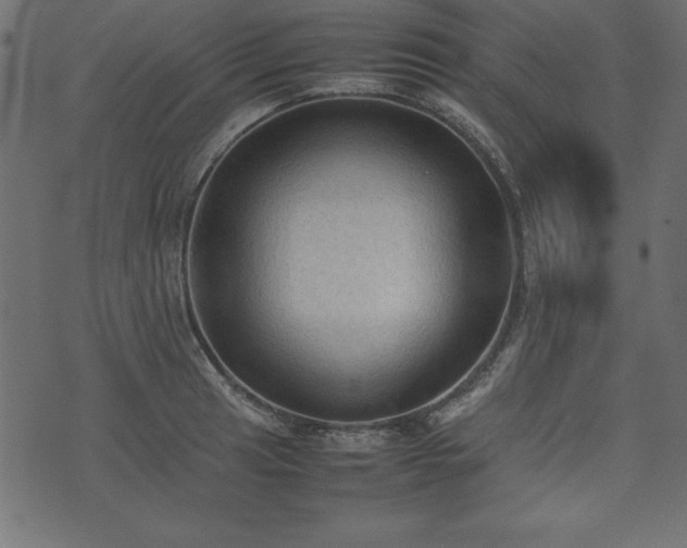 X0000074031041200608281415