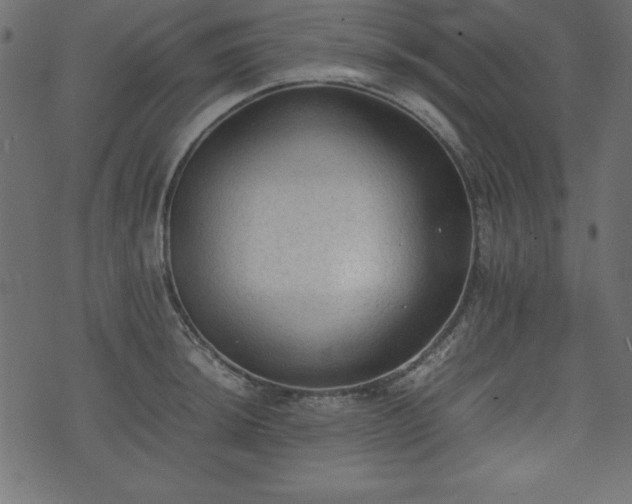 X0000074031044200608281415