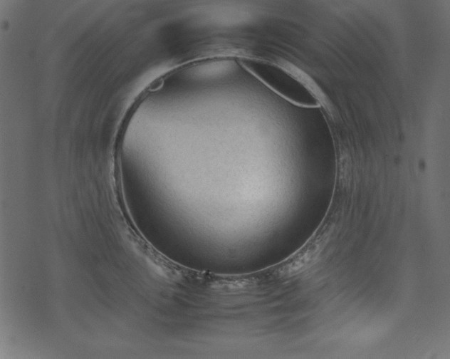 X0000074031051200608281415