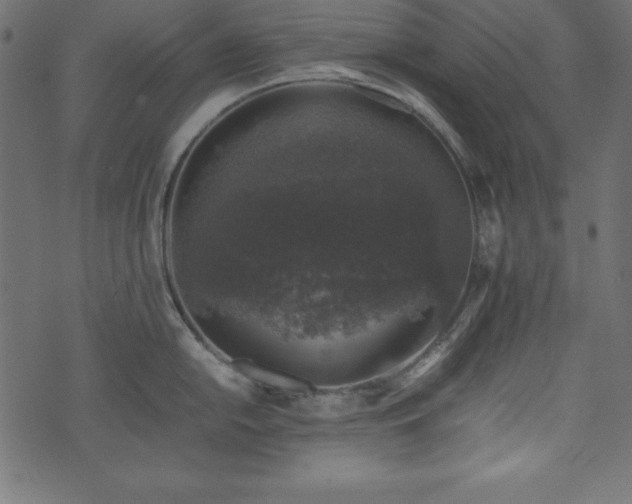 X0000074031054200608281415