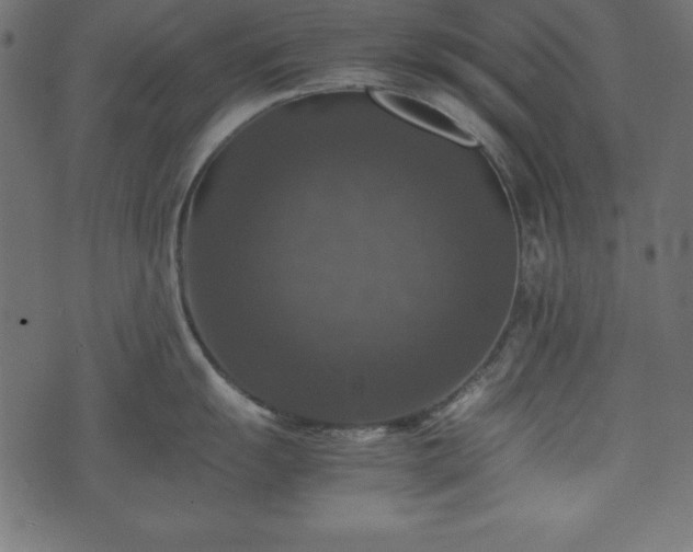 X0000074031055200608281415
