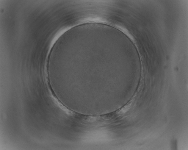 X0000074031056200608281415