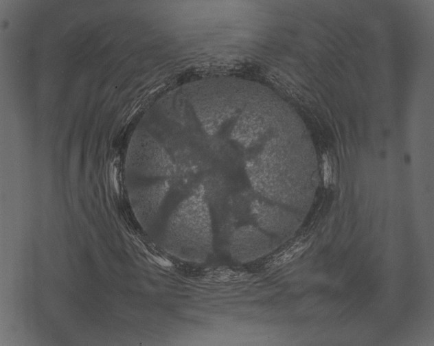 X0000074031059200608281414