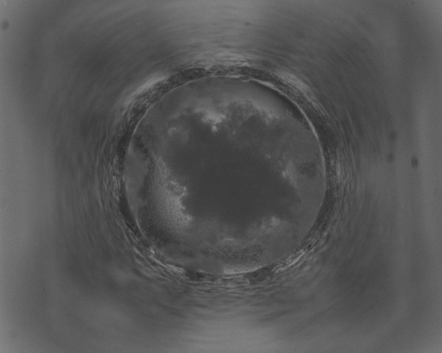 X0000074031063200608281414