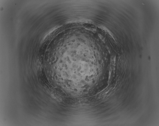 X0000074031064200608281414