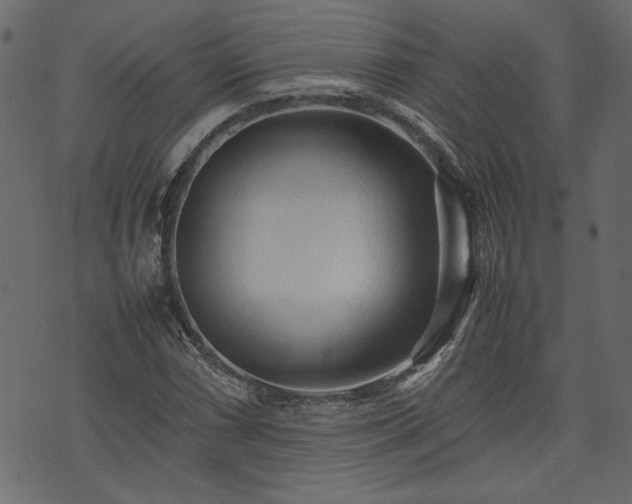 X0000074031066200608281414