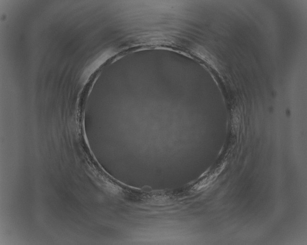 X0000074031071200608281414